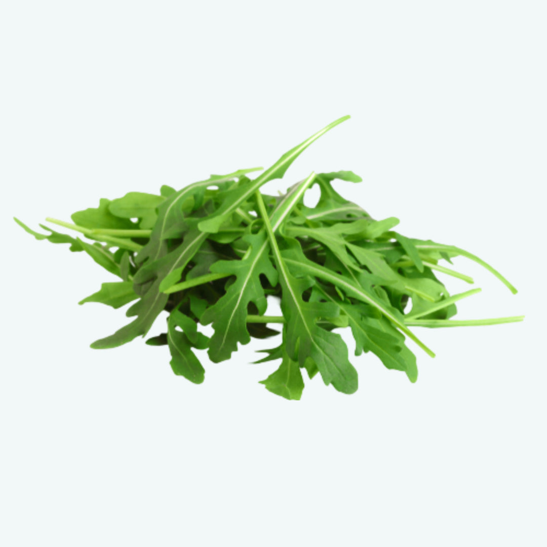 Rucola