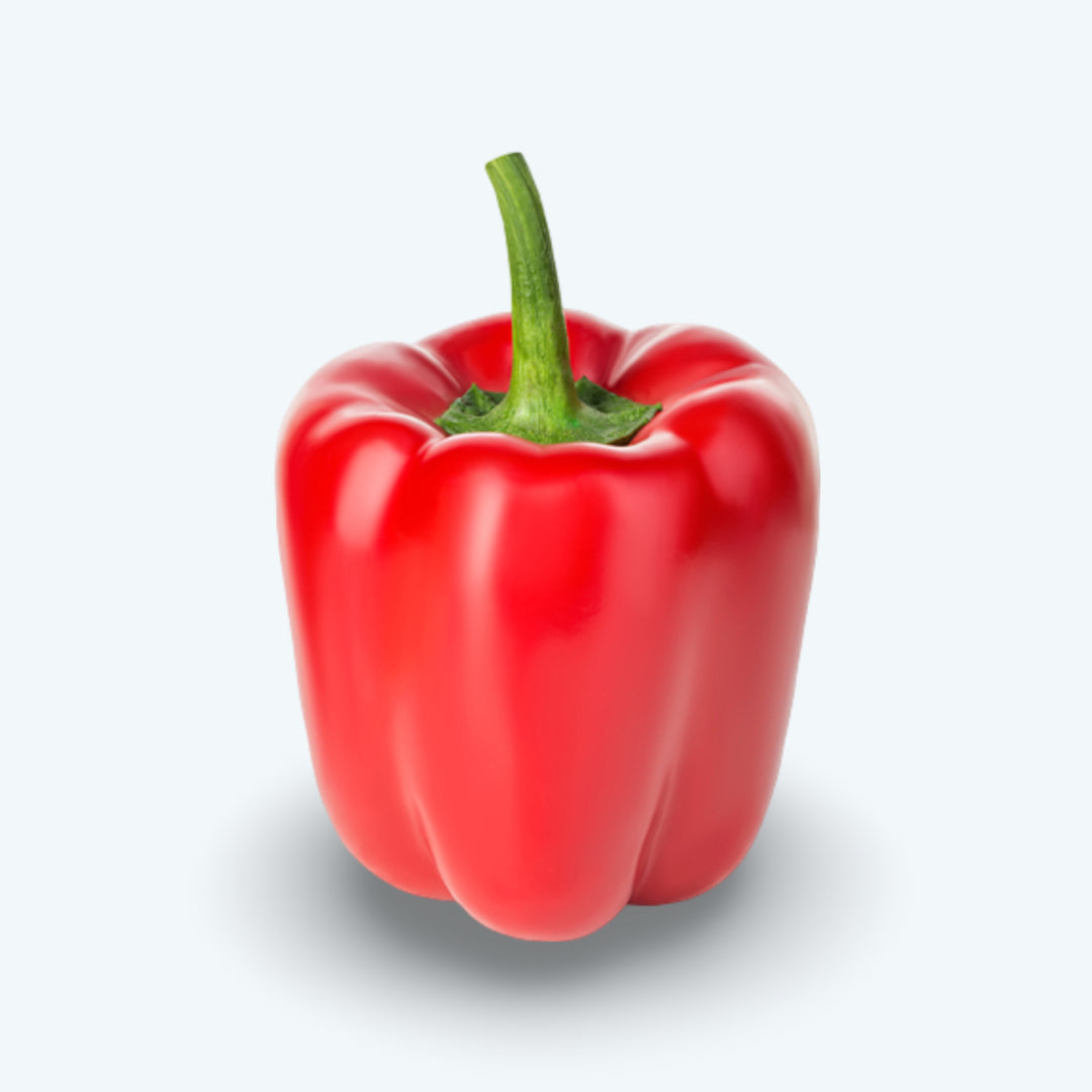 Paprika rood